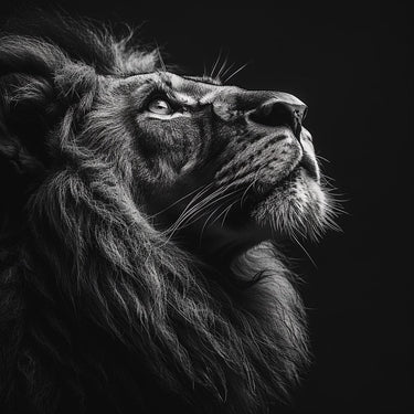 Black Lion Painting